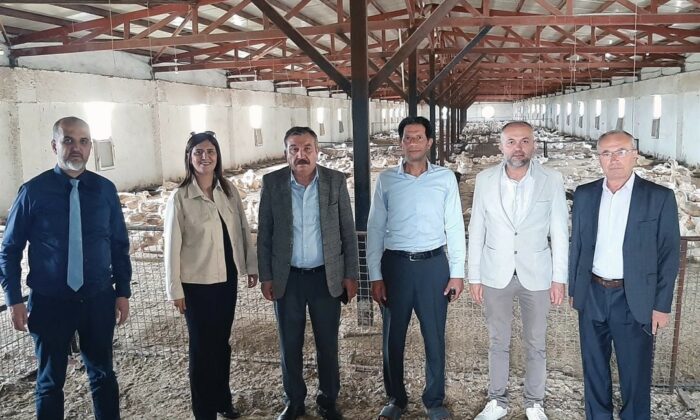 Kütahya’da Pekin ördeği çiftliği