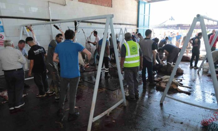Odunpazarı Belediyesi’nden ücretsiz ve hijyenik kurban kesim hizmeti