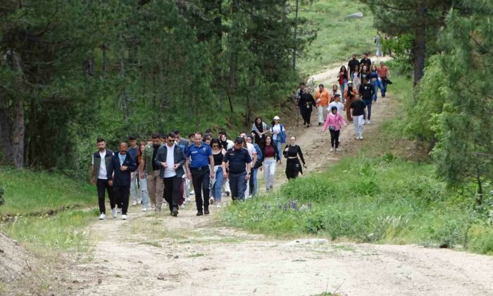Hisarcık MYO öğrencileri doğa yürüyüşünde ağaçlara 50 ahşap kuş yuvası astı