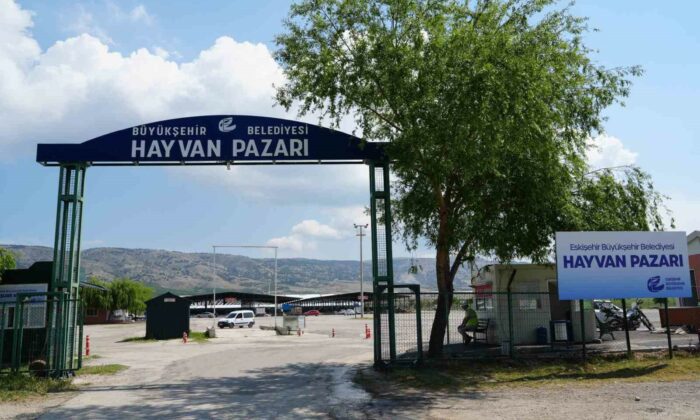 Eskişehir hayvan pazarı Kurban Bayramı’na hazır