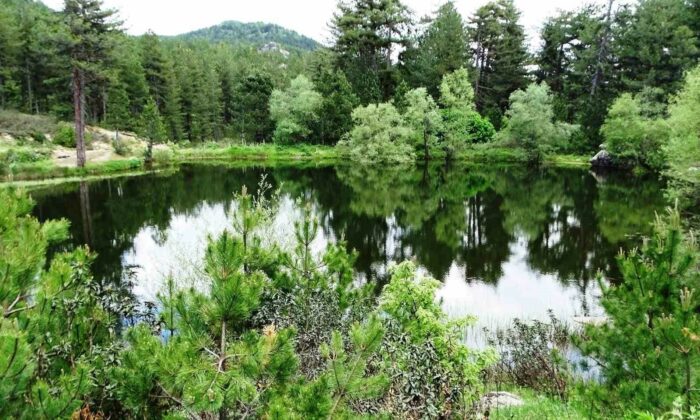 Hisarcık’ta doğal gölette büyüleyici bahar manzarası