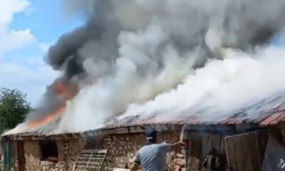 Farelerin kemirdiği kablodan çıkan yangın ahırı kül etti: 30 koyun son anda kurtarıldı