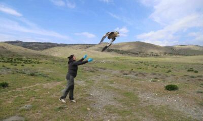Akbaba Midas 101 bin kilometre uçtu