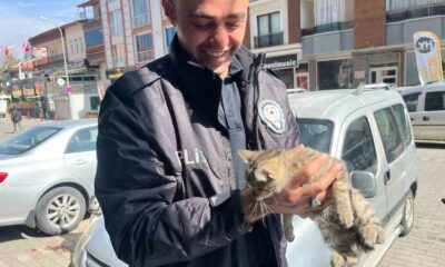 Aracın motoruna giren yavru kediyi polis kurtardı