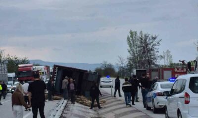 Devrilen kamyonda 53 koyun telef oldu