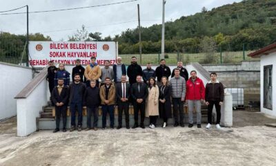 Gemlik Belediyesi heyetinden Bilecik Belediyesi’ne ziyaret