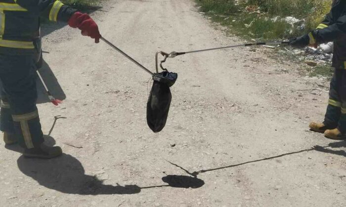 Gediz’de baharın gelmesiyle yılanlar görülmeye başladı
