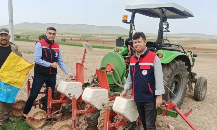Ayçiçeği ekimlerini yerinde takip ediliyor