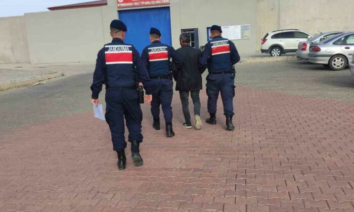 Jandarma aranan şahsı yakaladı