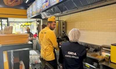 Gıda işletmelerine yönelik denetim