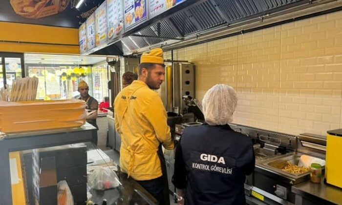 Gıda işletmelerine yönelik denetim