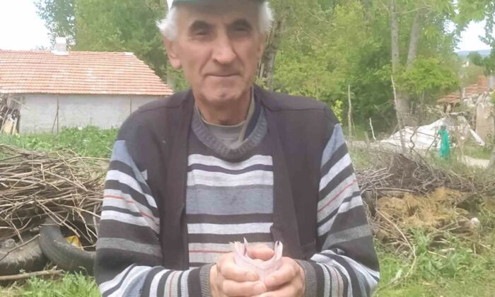 Hisarcık’ta emekli işçiden “İnsanlık Ölmemiş” dedirten davranış: Bulduğu bir tomar parayı jandarmaya teslim etti