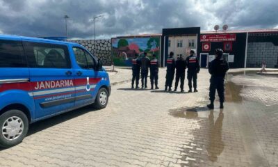 Hapis cezasıyla aranan 2 şahsı jandarma yakaladı