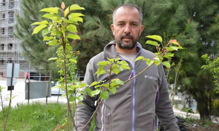 (ÖZEL) Dededen toruna uzanan bir meslek mirası