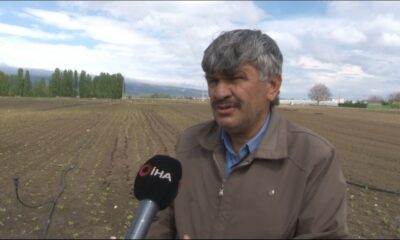 Eskişehir’de yetersiz yağışlar sebze ve meyve fiyatlarını olumsuz etkiledi