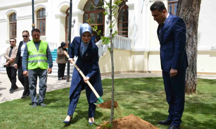 Bakan Mahinur Özdemir Göktaş, Bilecik’te adına hazırlanmış yere çınar fidanı dikerek can suyu verdi