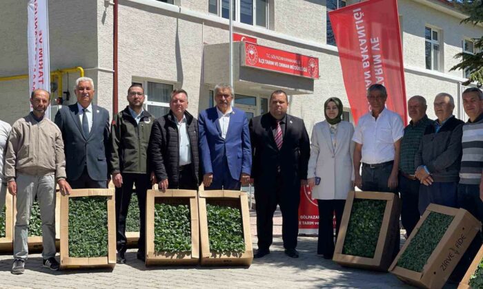 Gölpazarı’nda yerli ve milli fide dağıtım programı gerçekleştirildi