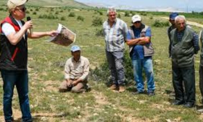 Tarımsal üretim için gübreleme yapılan mera arazisi 3 milyon metrekareye ulaştı