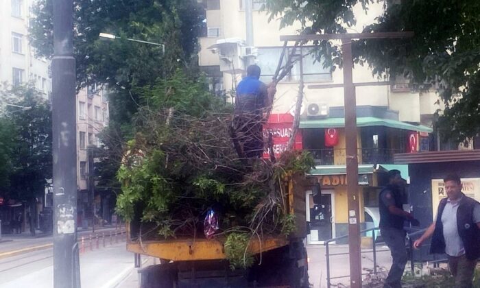Başkan Vural’dan Hamamyolu’ndaki ağaç kesimine tepki