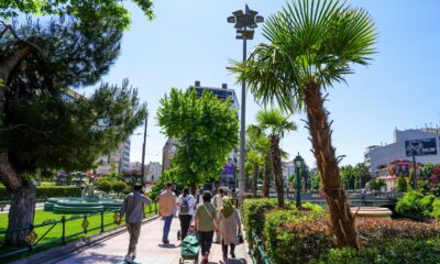 Köprübaşı palmiyeler ve zakkumlarla süslendi