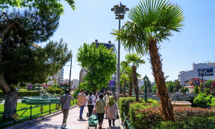 Köprübaşı palmiyeler ve zakkumlarla süslendi