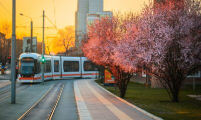 Kurban Bayramı boyunca toplu taşıma ücretsiz olacak