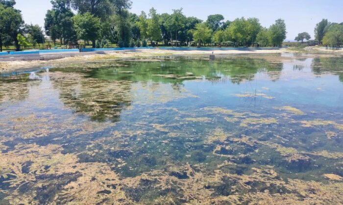 Sakarya Nehri’nin doğduğu noktayı boşaltan Çifteler Belediyesi’ne hukuki işlem başlatıldı