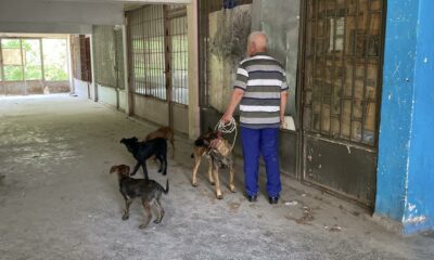 Yaklaşık 2 haftadır depoda mahsur kalan 6 köpek kurtarıldı