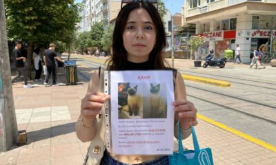 Herkes bayramı kutlarken o sokak sokak kayıp kedisini aradı