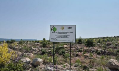 Eskişehirli şehidin hatırası Kümbet’teki ormanda yaşayacak