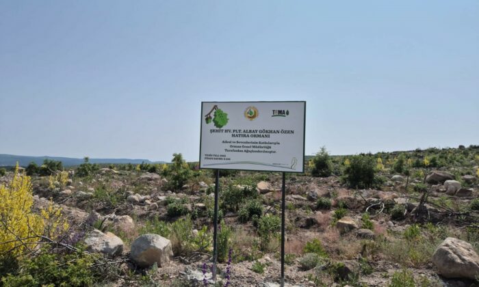 Eskişehirli şehidin hatırası Kümbet’teki ormanda yaşayacak