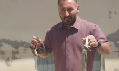 Komşusunun evine giren yılanları eliyle çıkardı, adı ‘Yılan Avcısı’ oldu
