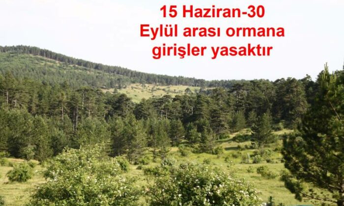 Ormanlık Alanlara Giriş Yasakları Başlıyor