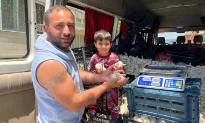 Ekmek parasını kazanmak için binlerce kilometre yol gezdiler