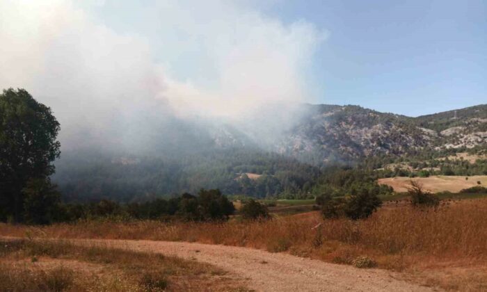 Bilecik’te başlayan orman yangını hızla büyüyor