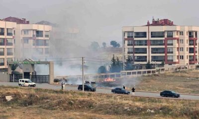 Çöpe atılan sigara izmariti nedeniyle yangın çıktı