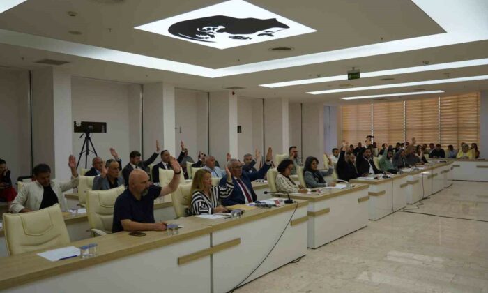 Haziran Ayı Meclis Toplantısı Başkan Subaşı Başkanlığında yapıldı