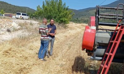 Gölpazarı’nda hasat ve biçerdöver denetimleri sürüyor