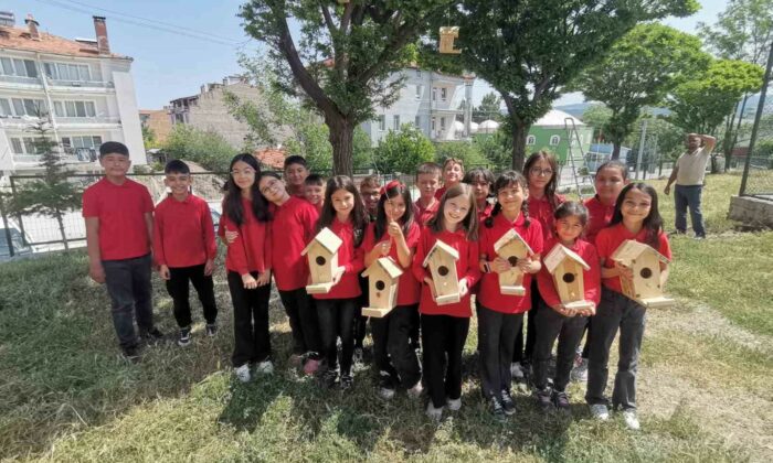 Hisarcık’ta minik öğrenciler ağaçlara kuş yuvası astı