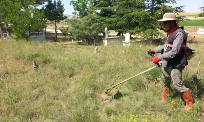 Yarımca köyü yabancı otlardan temizleniyor
