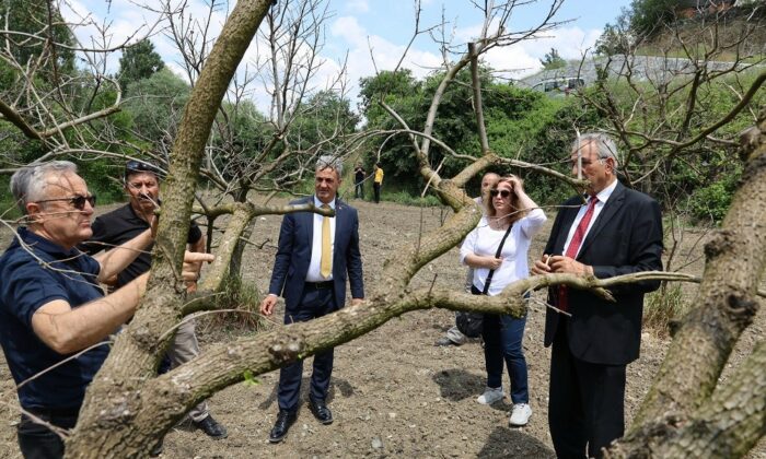 Bilecik’te meyve bahçelerinde don zararına karşı eğitim düzenlendi