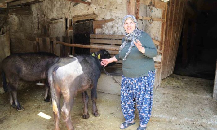 Büyükşehir destekledi üretici kazandı