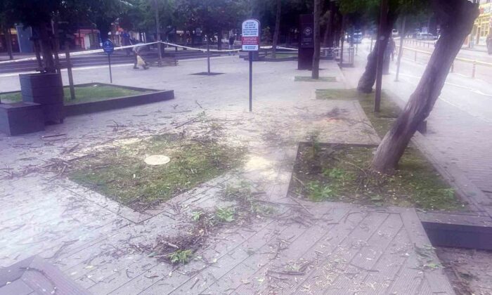 Başkan Vural’dan Hamamyolu’ndaki ağaç kesimine tepki