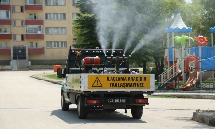 Odunpazarı Belediyesi’nden kenelere karşı etkili mücadele