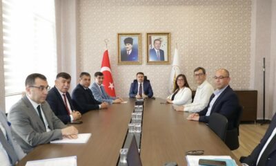 Sahipsiz hayvanlar için birlikte hareket ediliyor