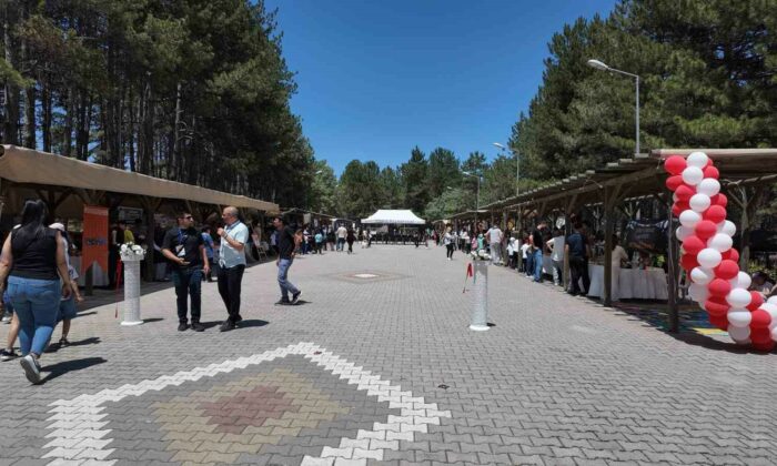 Gediz’de bilim şöleni: Teknogediz Bilim Fuarı öğrencilerin projeleriyle göz kamaştırdı