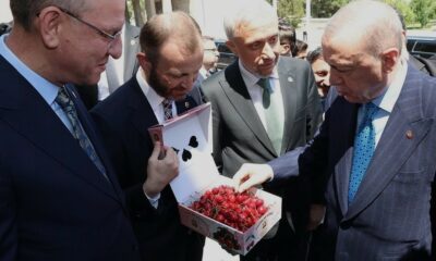 Milletvekillerinden Cumhurbaşkanı Erdoğan’a Kütahya kirazı ikramı