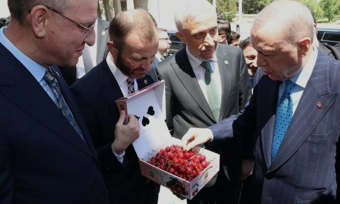 Milletvekillerinden Cumhurbaşkanı Erdoğan’a Kütahya kirazı ikramı