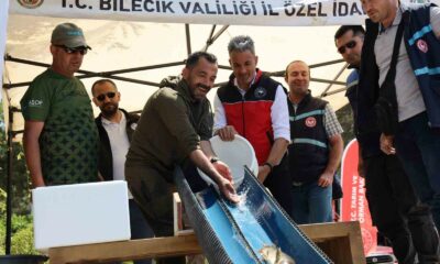 Pelitözü Göleti’ne anaç sazan balığı salındı