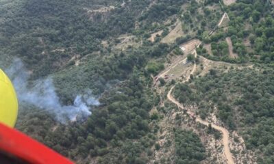 Kütahya’daki orman yangınında 8 dekar alan zarar gördü